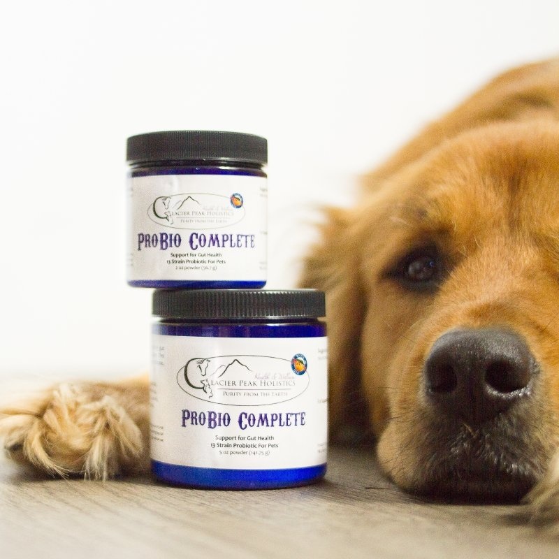 Glacier Peak Holistics ProBio Complete Probiotics for dogs and cats
