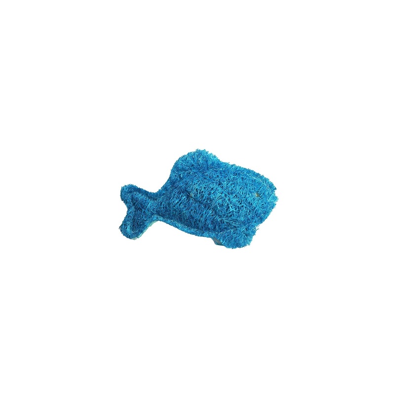 Organic Vegetable Dental Toy - Fish