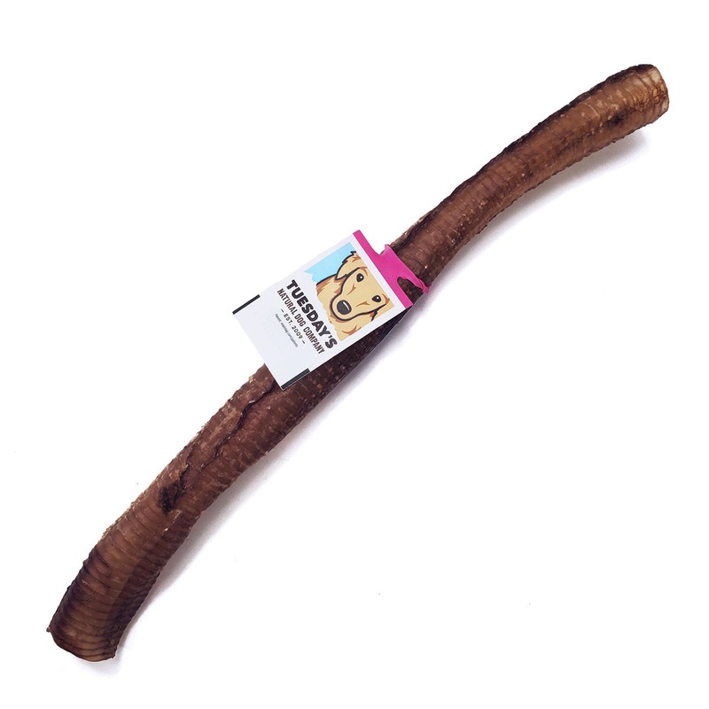 Tuesday's Ostrich Trachea