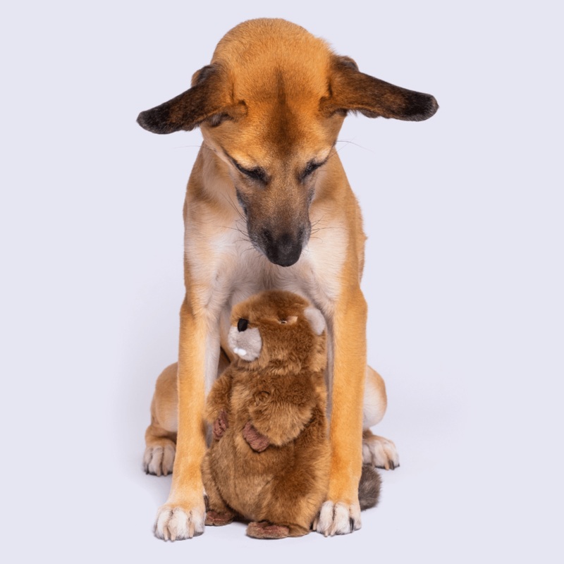 Fluff & Tuff Medium Plush Toys