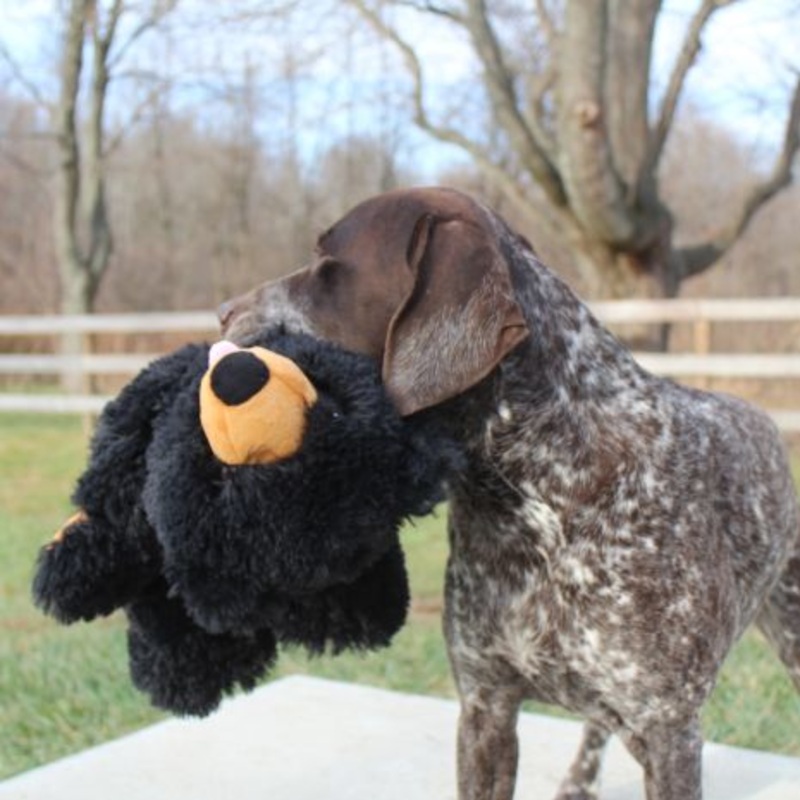 Tall Tails Rope Body Dog Toys
