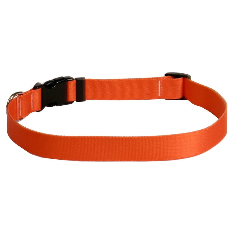 Yellow Dog Design Small Dog Collars