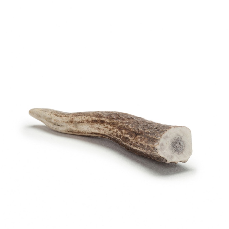 Antler Chew - Dog Chew - Dog Treat - USA