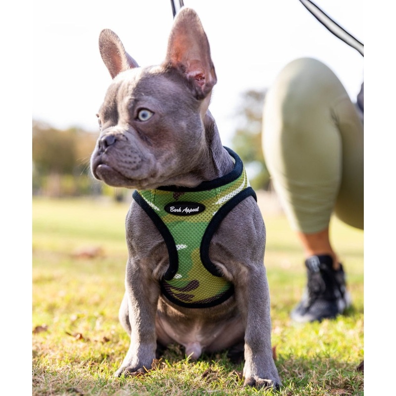 Bark Appeal Mesh Step-In Harness