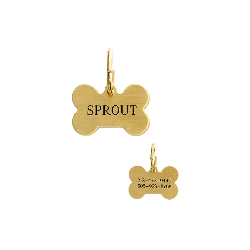 Brass - Bone-Shaped - Dog Tag