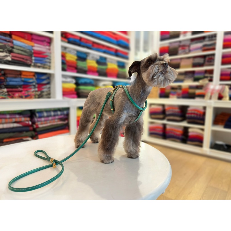 Cinopelca - Dog "Harness Set" - Italian Harness and Lead Set - 6 Color Options