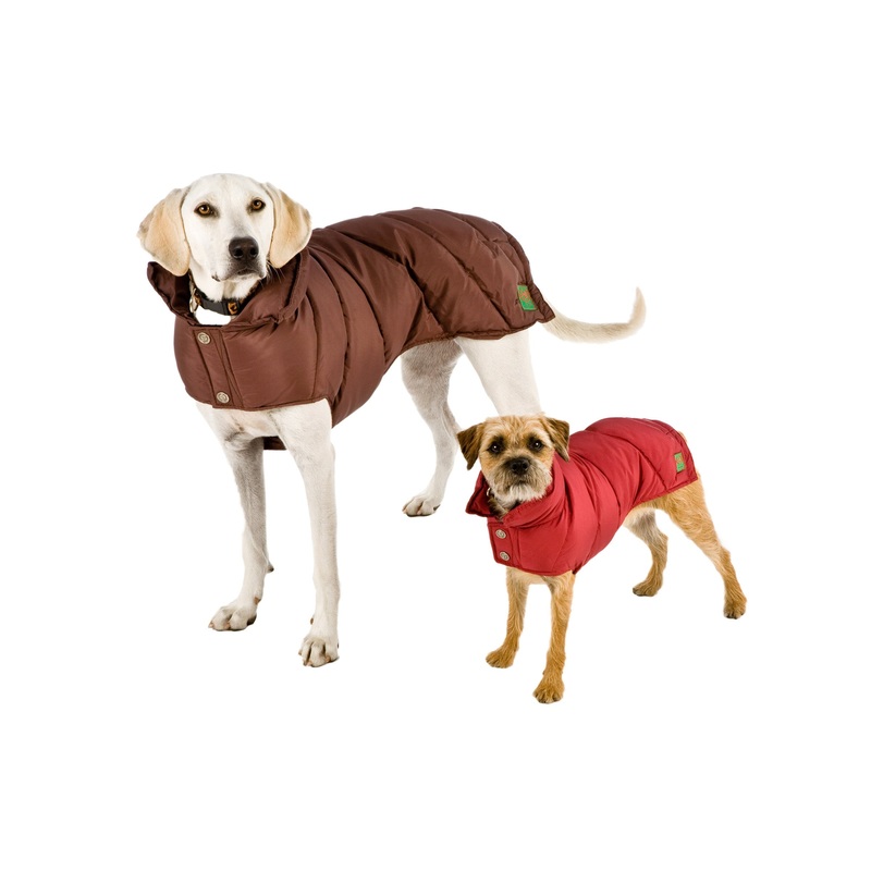 Down Puffer Coat - Brown & Cranberry