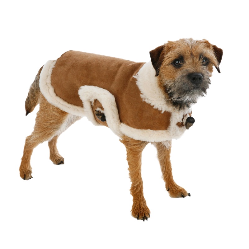 Genuine Natural Shearling Dog Coat