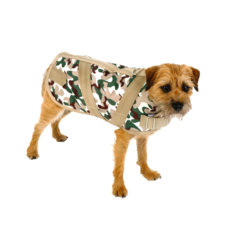 Horse Blanket Coat -  Camoflauge & Pumpkin