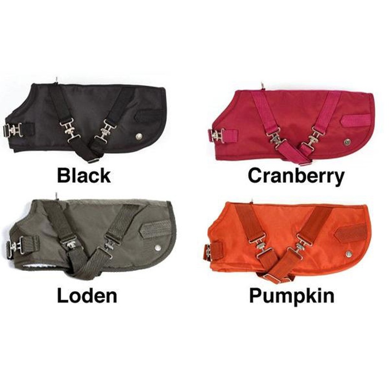 Horse-Blanket, Solid Nylon - 6 Color Options