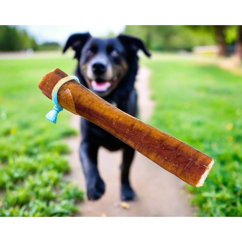 Odor Free Beef Bully Sticks