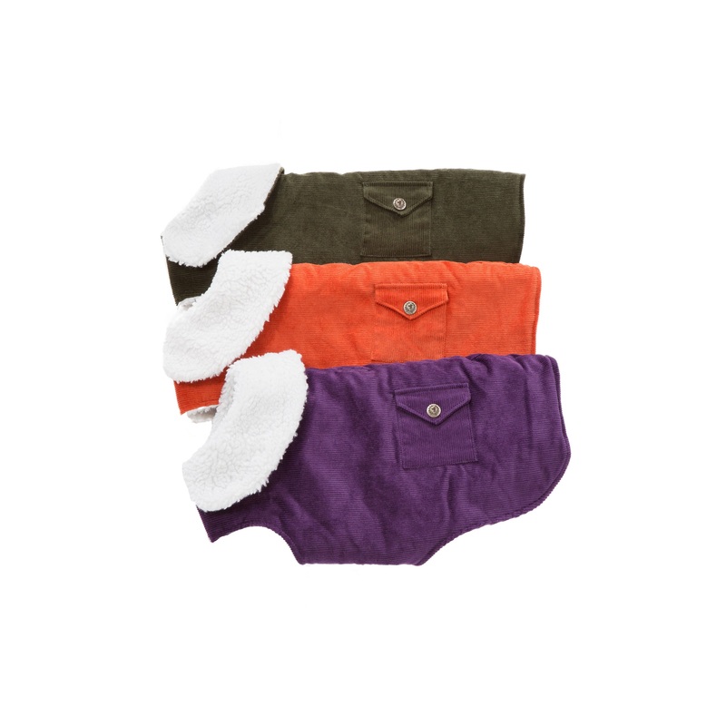 Purple, Green, Orange Corduroy Dog Coats
