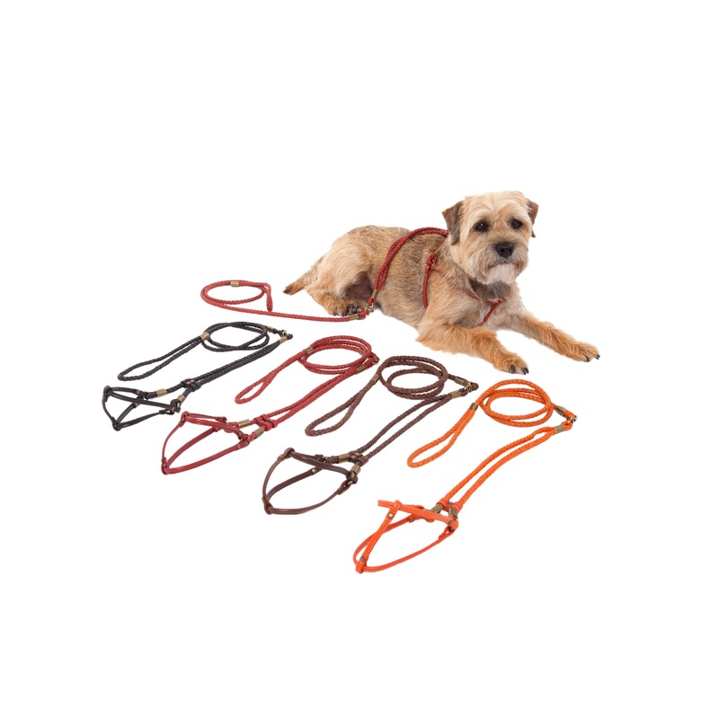 Braided & Flat Leather Step-In Harness - All-in-One Lead & Harness - 4 Color Options