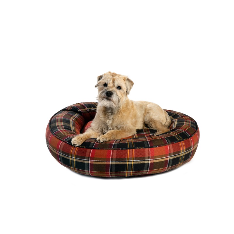 Canine Styles - Cotton Canvas - Maclachlan Red Plaid