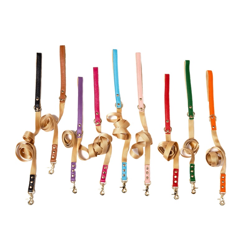 Canine Styles Nylon & Leather Trim Dog Lead - 10 Color Options