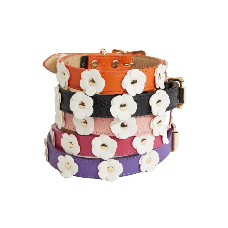Canine Styles Soft Leather Flower Dog Collar - 5 Color Options