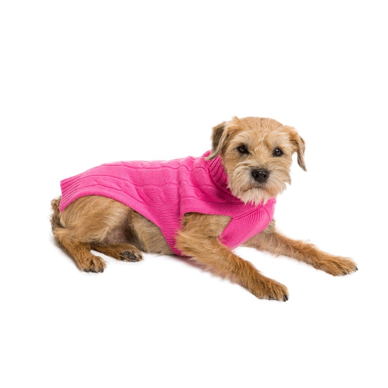 Cashmere Dog Solid Sweater - Hot Pink & Purple