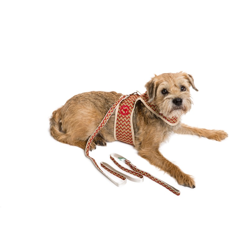 Designer Collection - UNLINED Dog Body Harnesses - Leads Additional - 3 Options