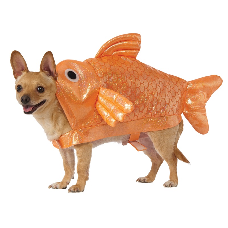 Dog Halloween Costumes | Gold Fish