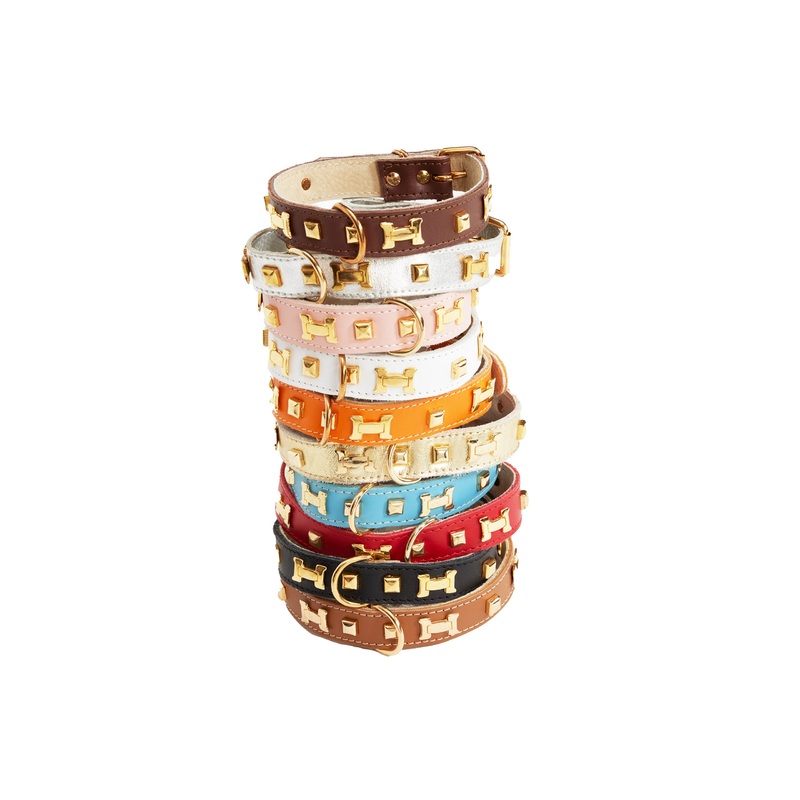 "H" Dog Collar - French Dog Collar, 10 Color Options