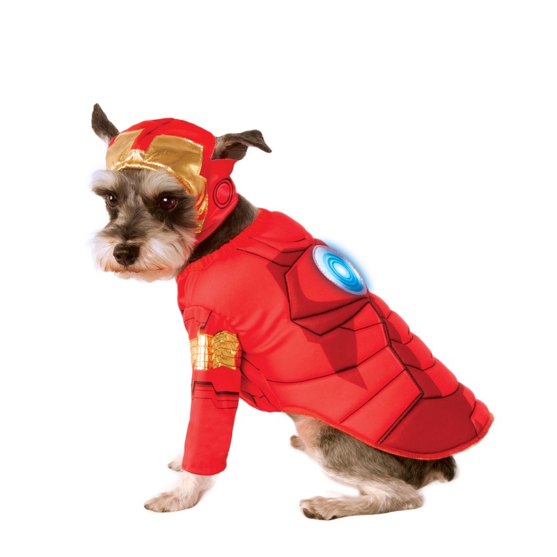 Halloween Costumes | Iron Man