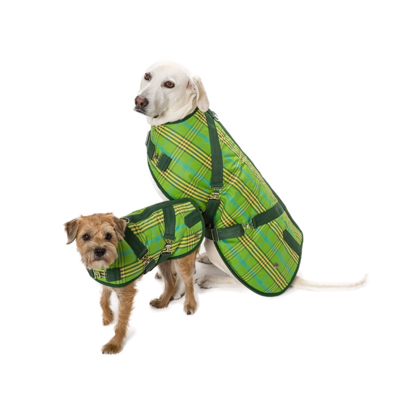 Horse Blanket, Signature Green Plaid
