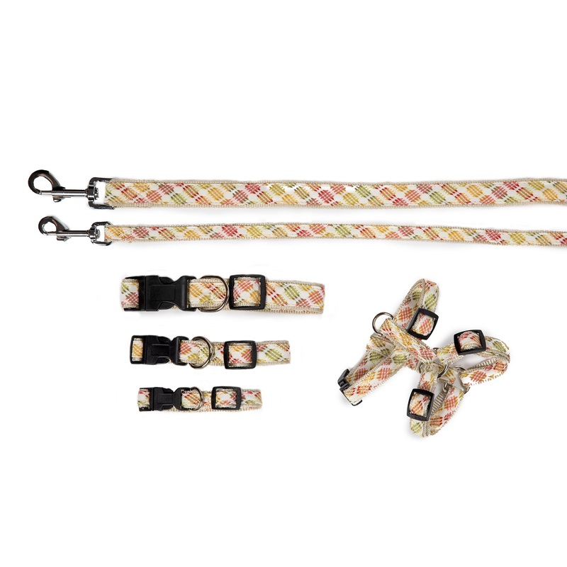 Designer Collection - Collar, Harness, & Lead - Fruit Punch Collection