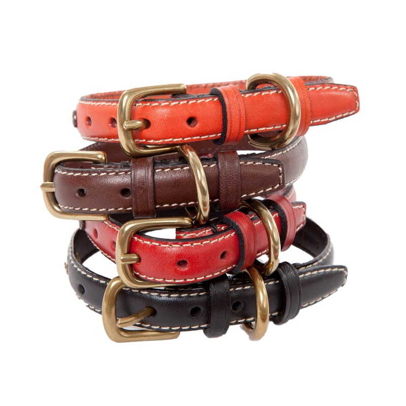 Dog Collars & Dog Leads - Canine Styles Classic Flat Leather - Brass Name Plaque - 5 Color Options