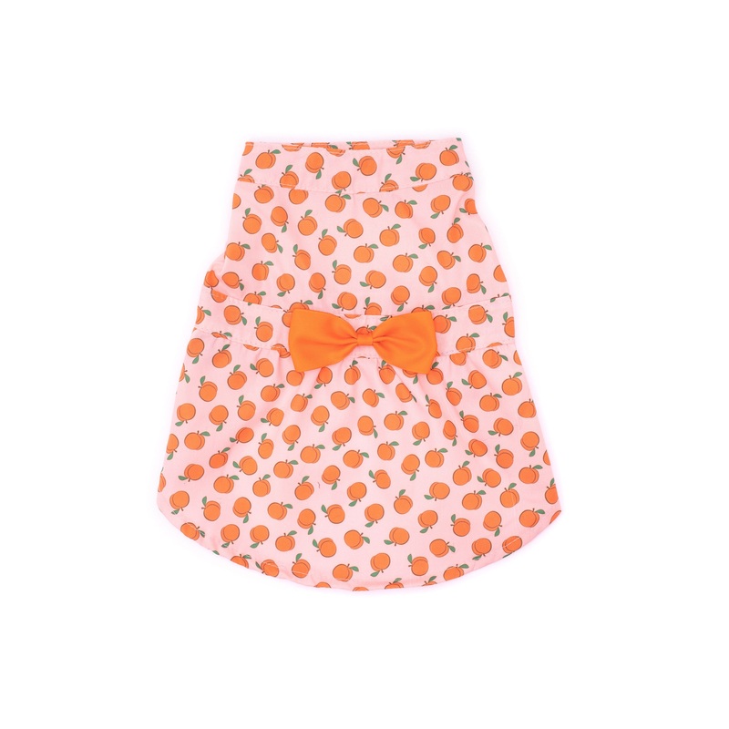 Dog Dress - Peaches Orange Dress