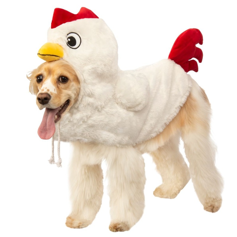 Dog Halloween Costumes | Pet Chicken