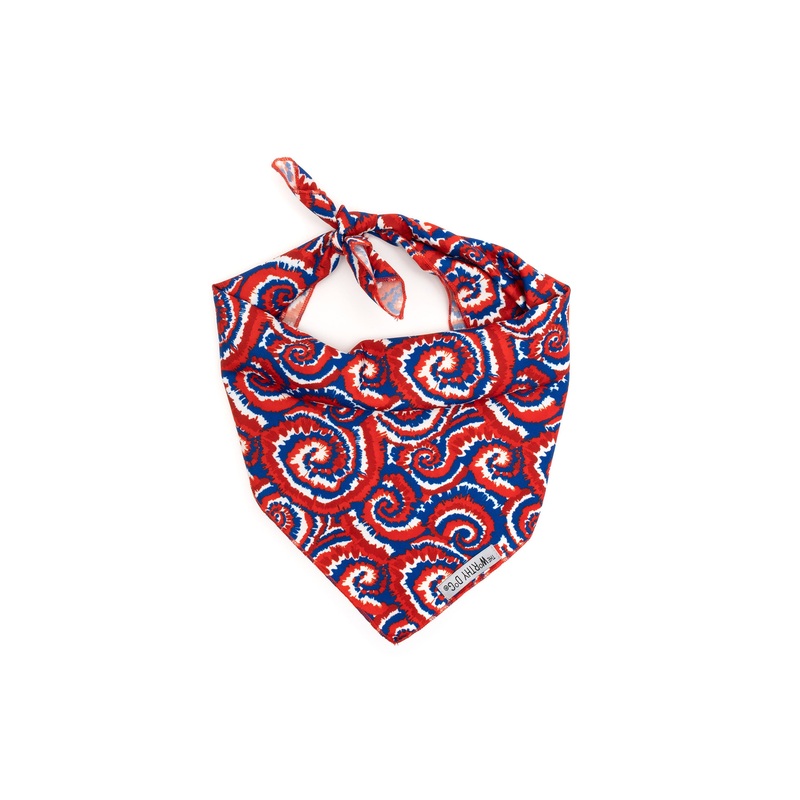 Bandana Kaleidoscope