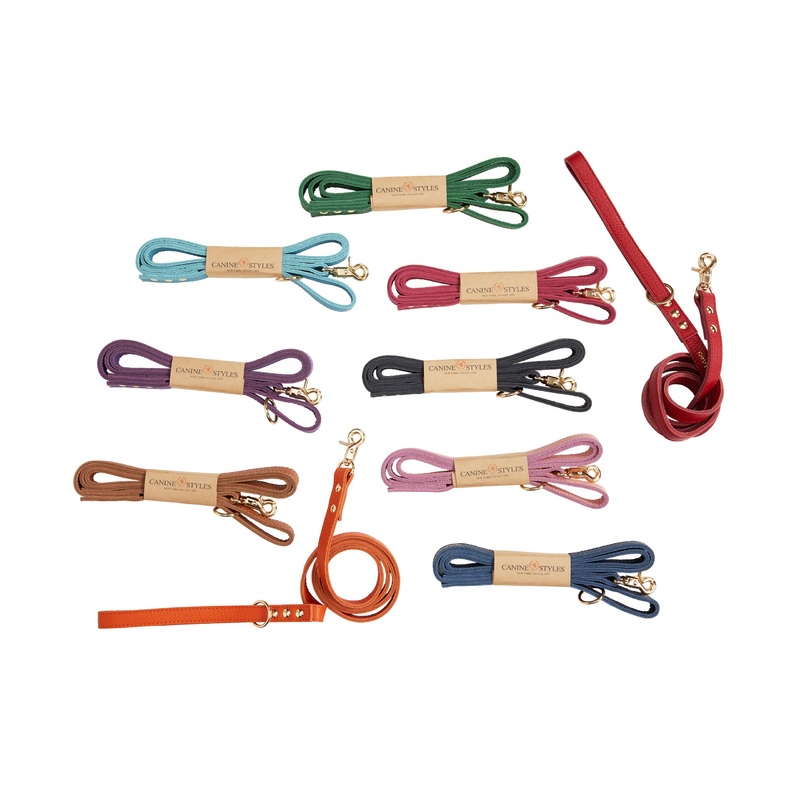 Canine Styles Fine Leather 4-Foot Leads - 10 Color Options