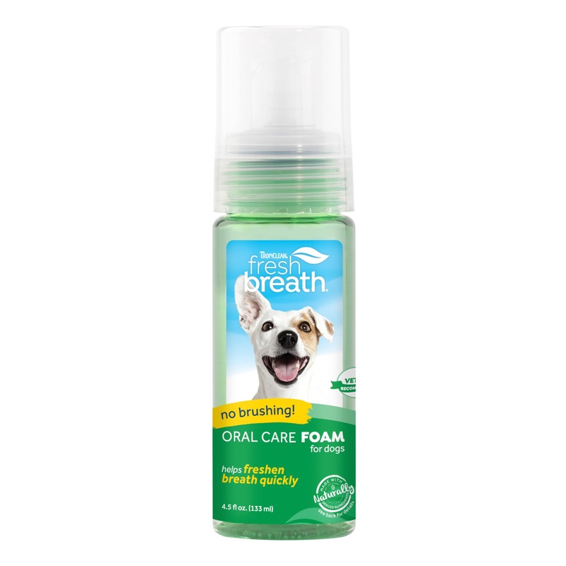 Dental Fresh Breath No Brushing Oral Care Foam 4.5 oz.