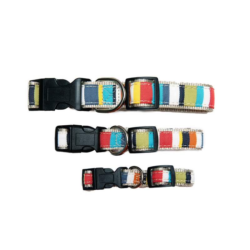 Designer Collar - 4 Color options