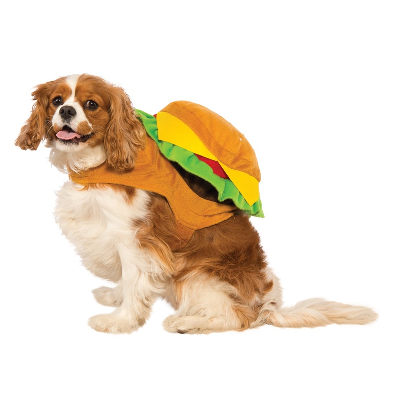 Dog Halloween Costumes | Cheeseburger