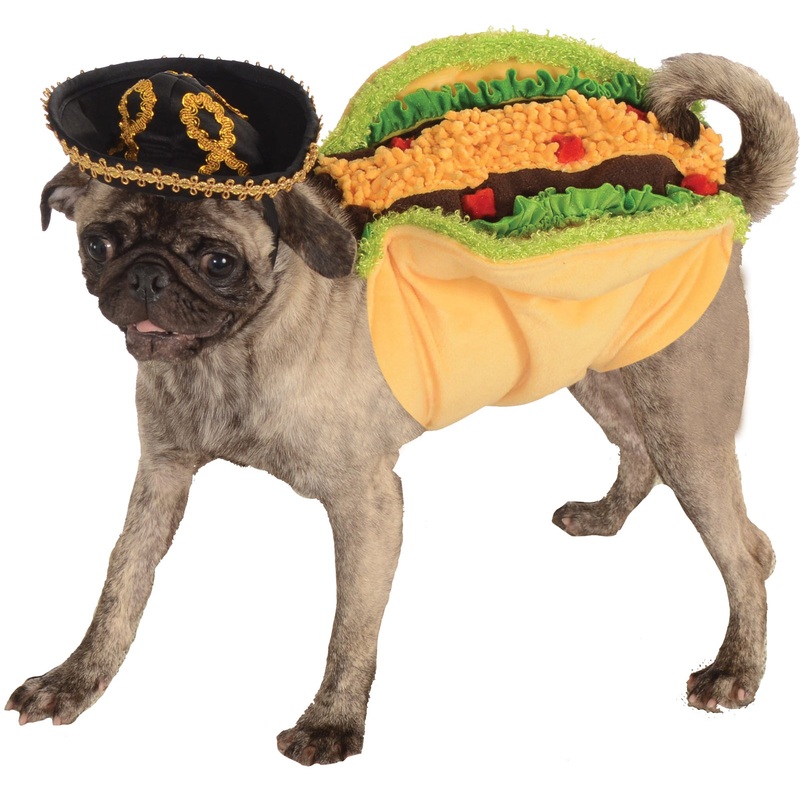 Dog Halloween Costumes | Taco