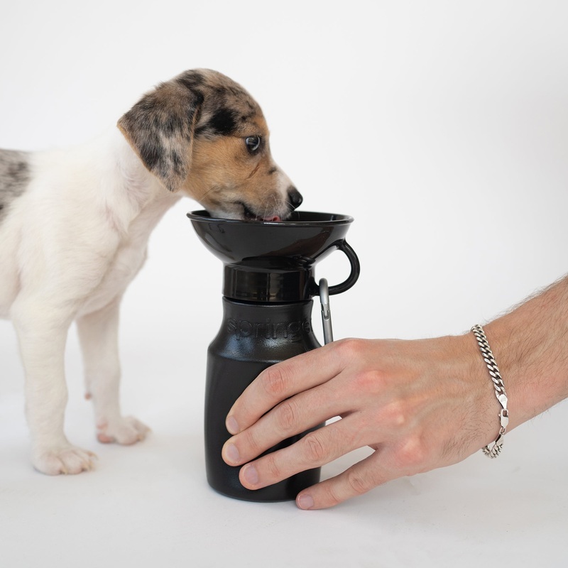 Dog Water Travel Bottle - 2 color options