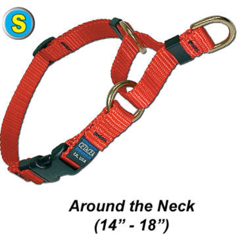 Webbing Cetacea Small Soft Martingale