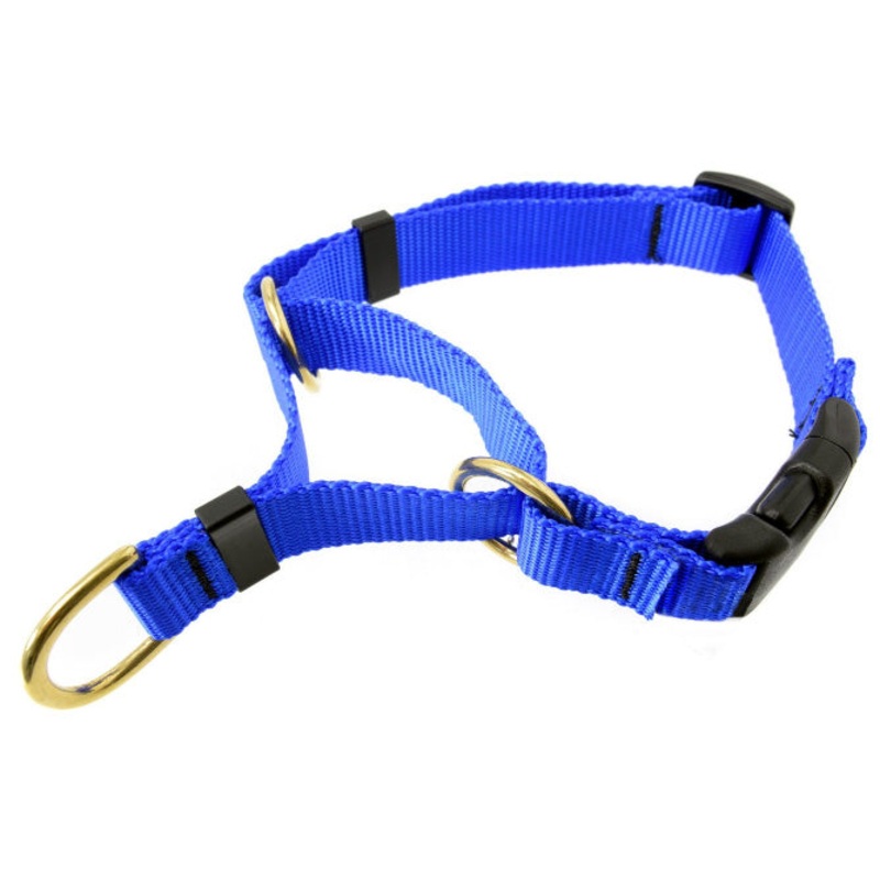 Webbing Cetacea Soft Medium Martingale