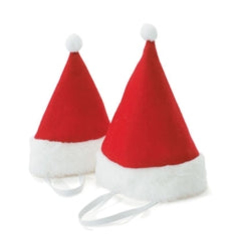 Christmas - Holiday Hat - Santa Dog Hat with strap
