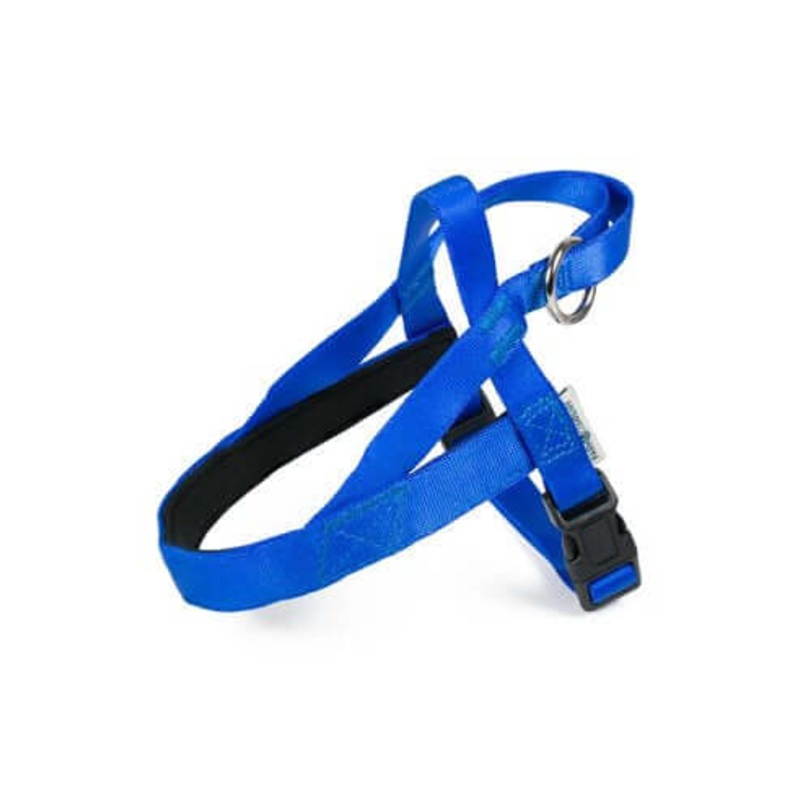Farm Company Nylon harness - Blue 10mmx20-35cm -
