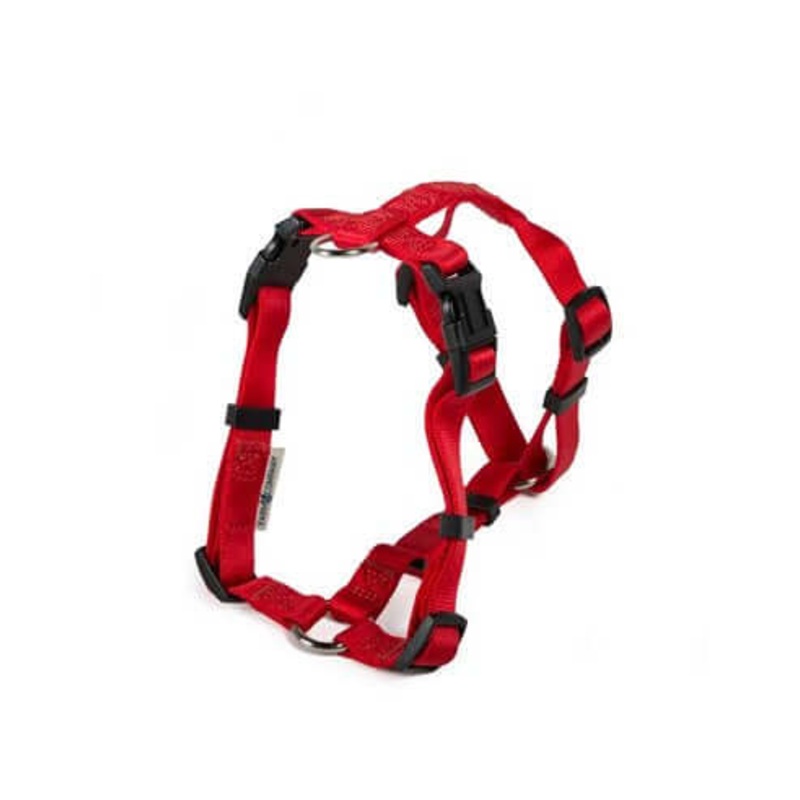 Farm Company Nylon harness H model Red - 10mmx20 35cm -