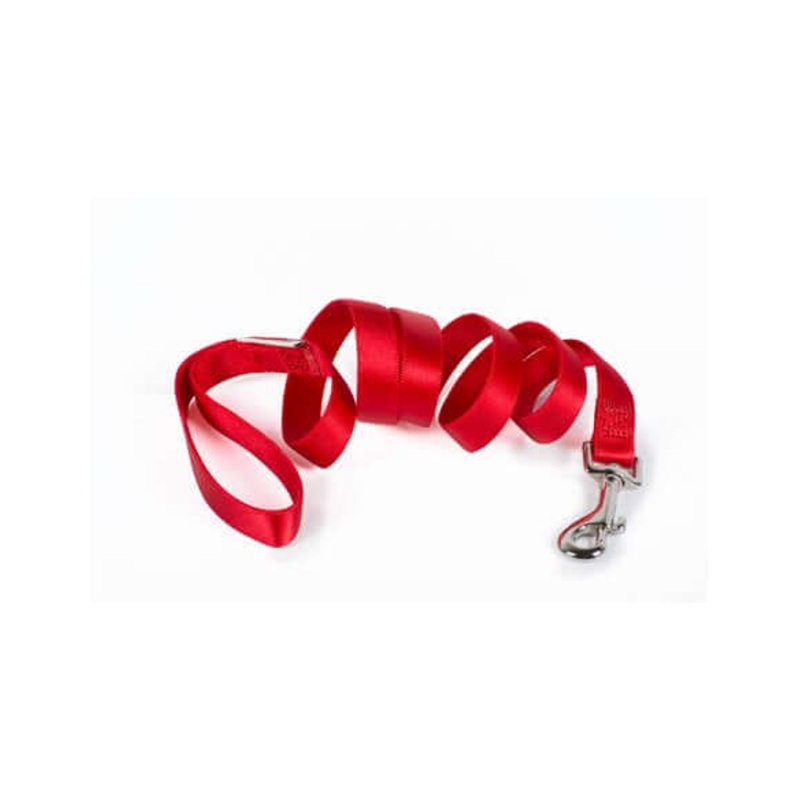 Farm Company Nylon leash Red - 25 mm x 120 cm -
