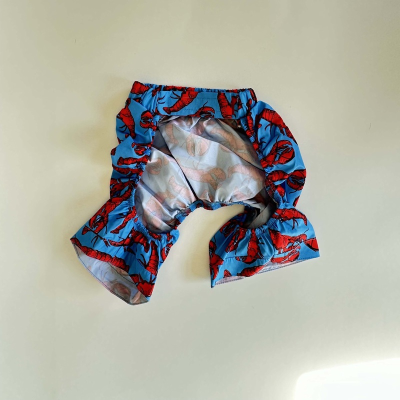 Ziggy Dog Swim Short Blue Lobster XL -