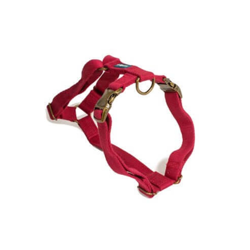 Farm Company Green Soybean Adjustable Harness Burgundy - 2x50 60cm -