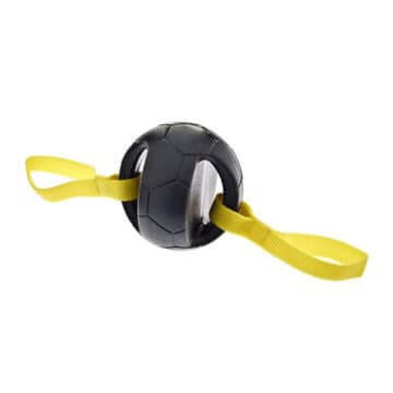 Ferribiella Ball With Handles & Squeaker TPR -