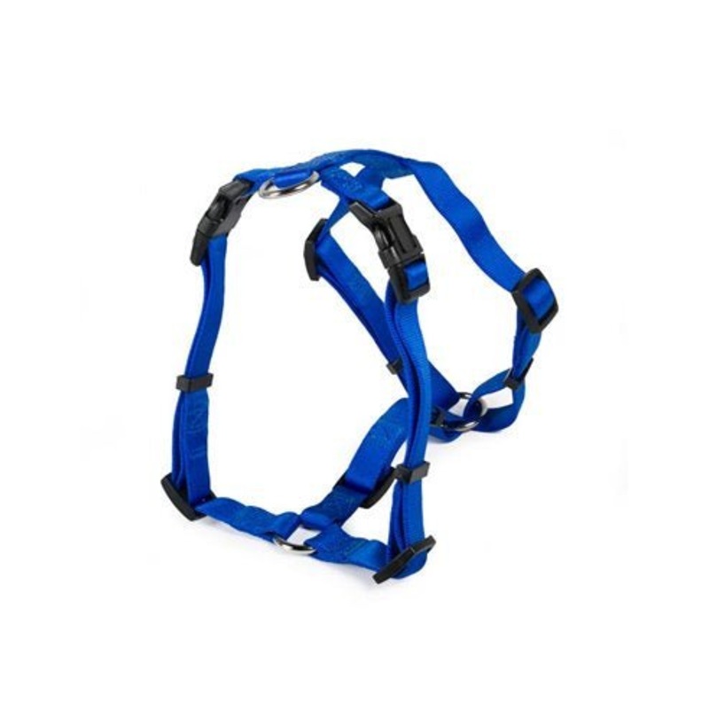 Farm Company Nylon harness H model Blue - 20mmx50 71cm -
