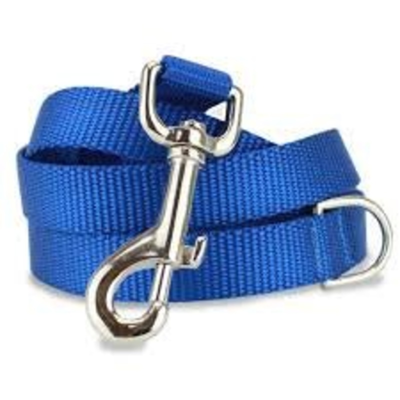 Farm Company Nylon leash Blue - 25 mm x 120cm -