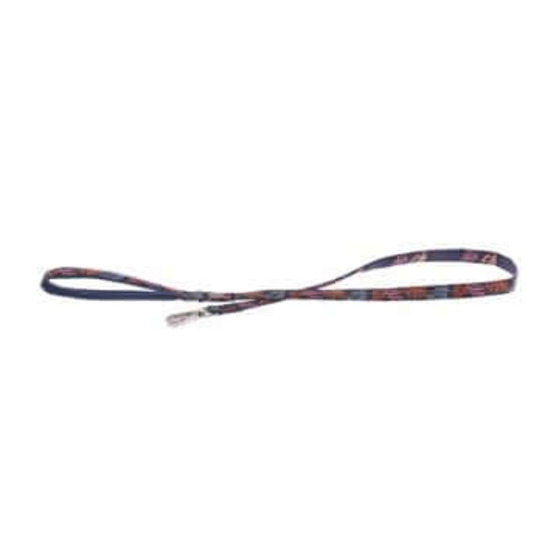Ferribiella Kami Leash 2mmX120cm Blue -