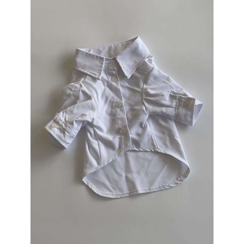 Ziggy Dog Classic White Shirt  - XL -